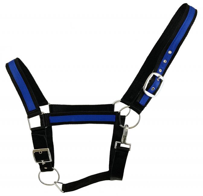Black Draft horse size nylon halter with accent color 2119
