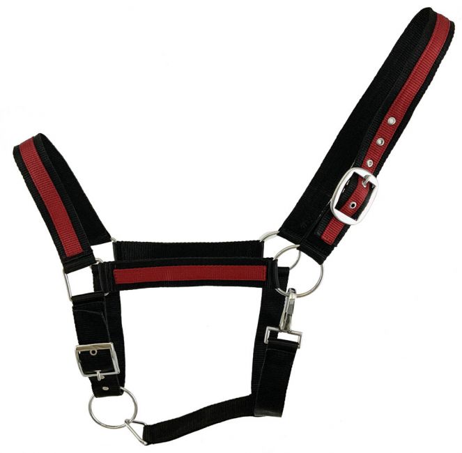 Black Draft horse size nylon halter with accent color 2119