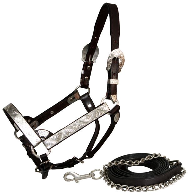 Showman horse size silver engraved show halter with matching lead 101