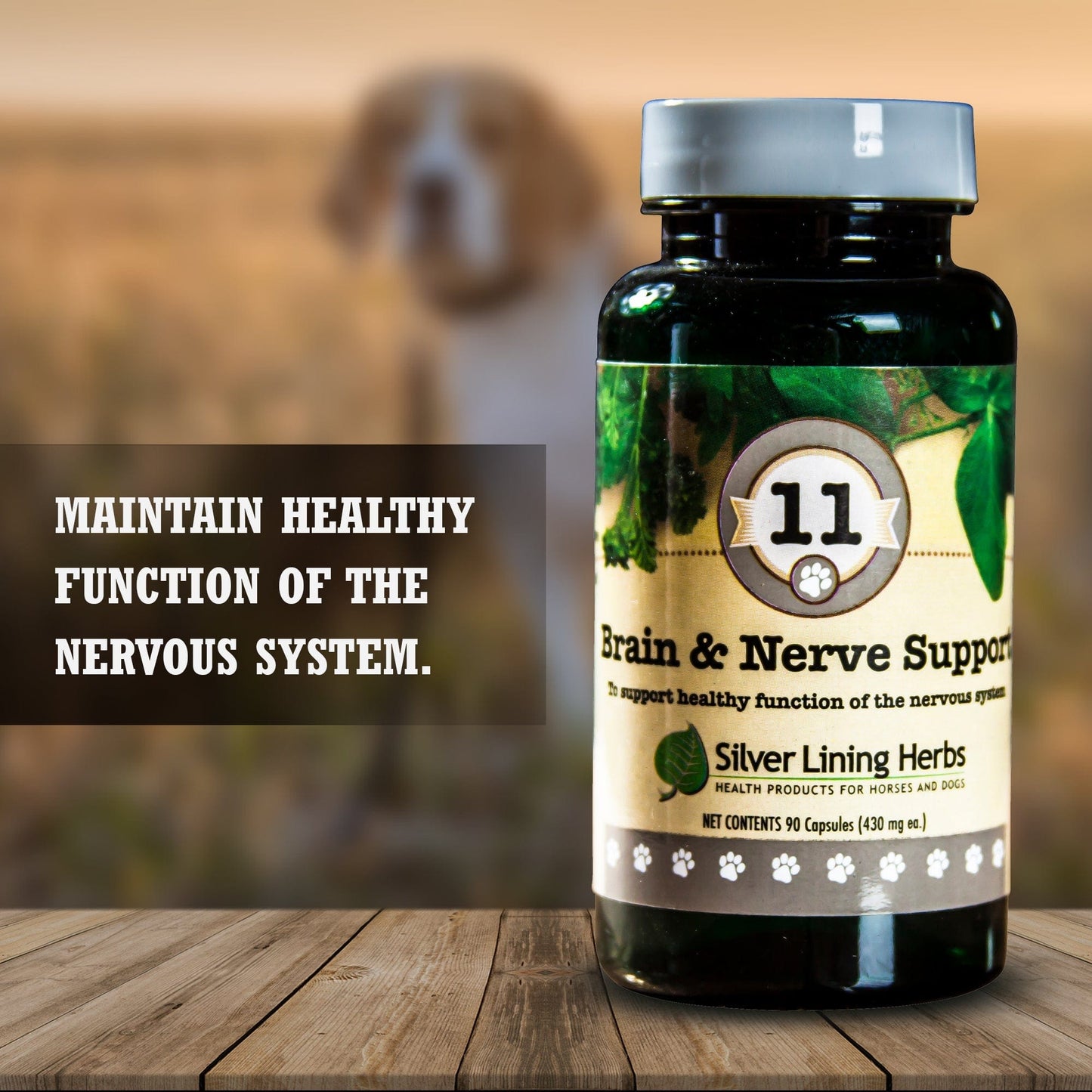 Brain & Nerve Support for Canines