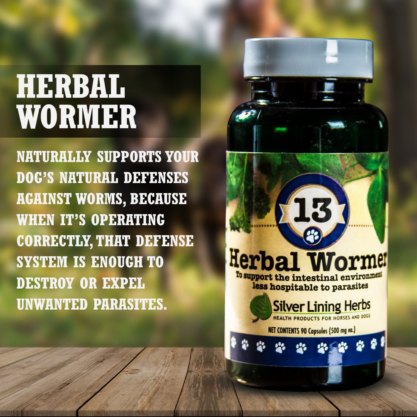 13 Herbal Wormer for Canines - 90 Capsule