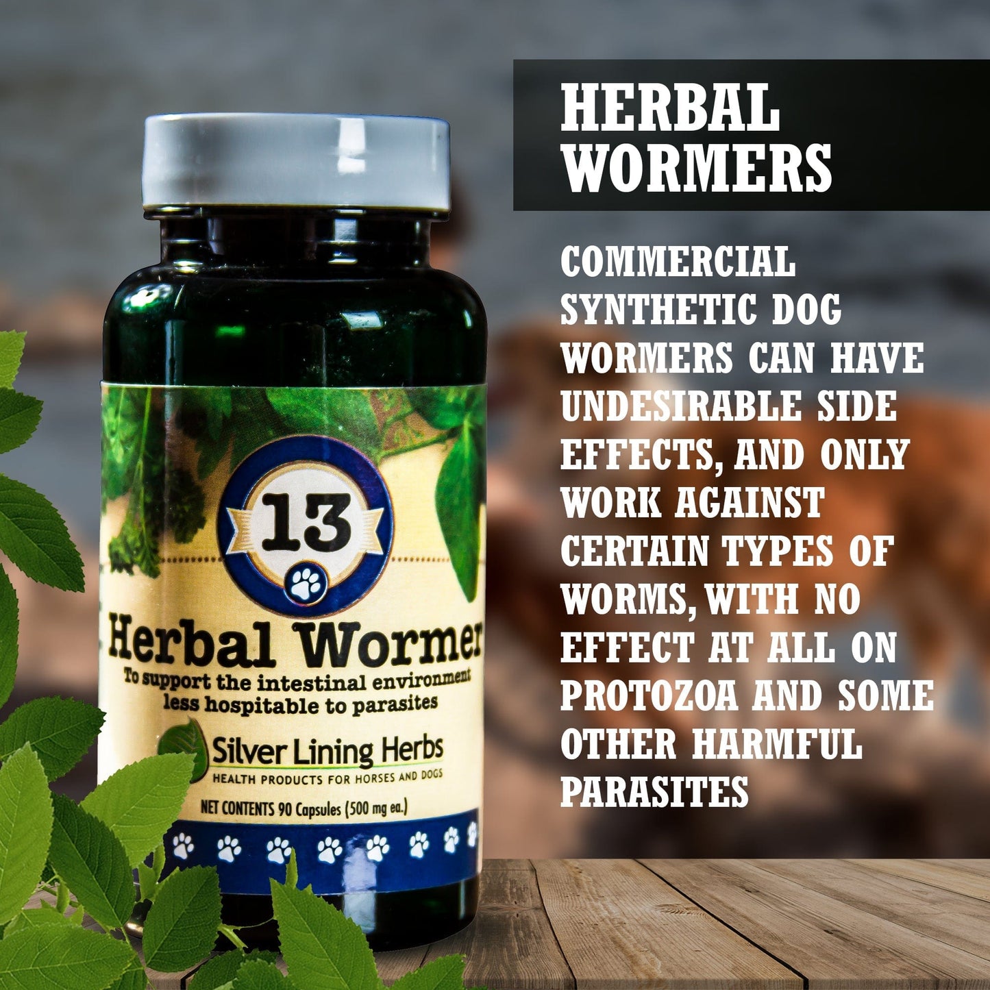 13 Herbal Wormer for Canines - 90 Capsule