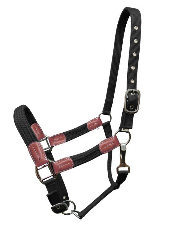 Showman Nylon halter with leather accents 16715