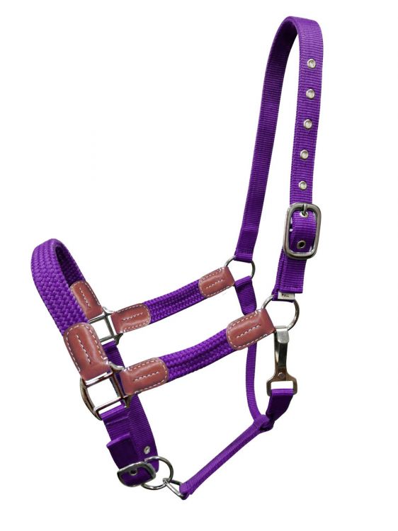 Showman Nylon halter with leather accents 16715
