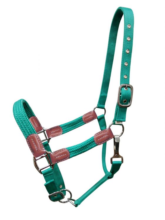 Showman Nylon halter with leather accents 16715