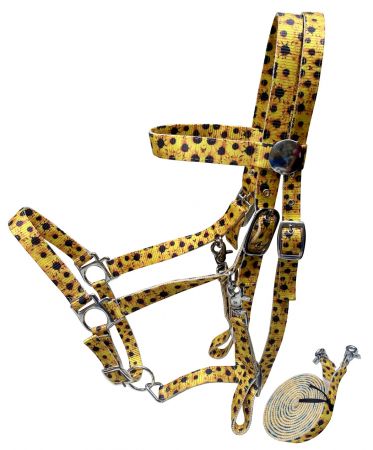 Showman Sunflower Premium Nylon combination halter bridle with reins 16771