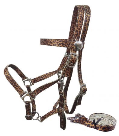 Showman Cheetah Premium Nylon combination halter bridle with reins 16772