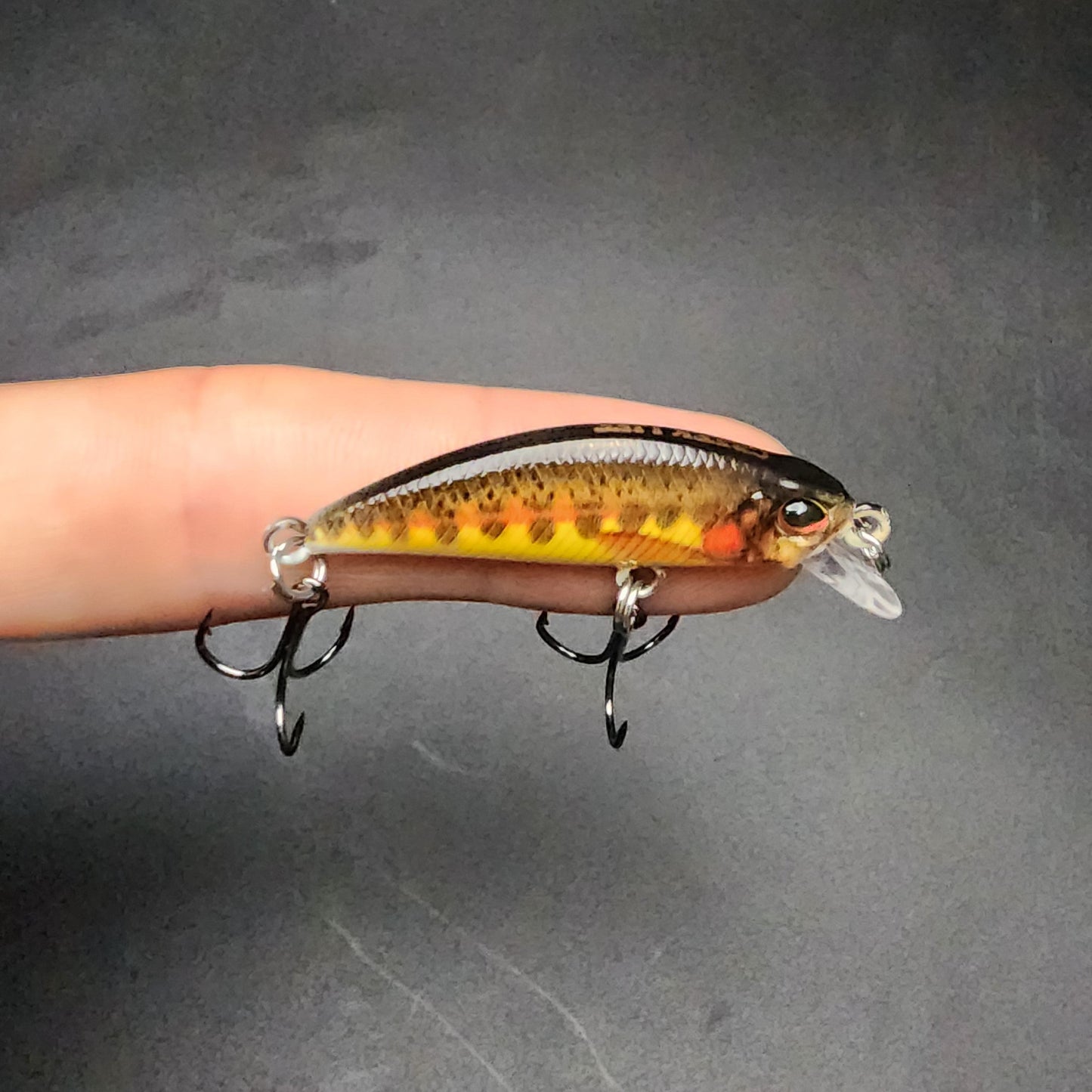 1/8oz Sinking Jerk Bait "The MOON Shiner"
