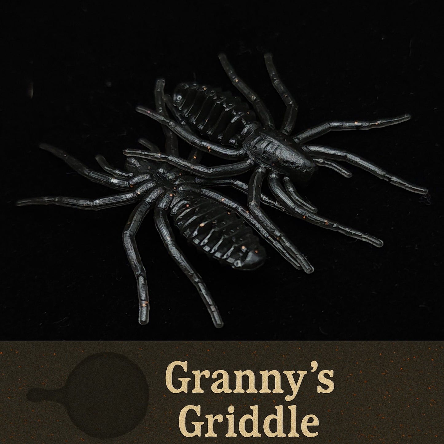 Jar of 1" Micro Spider Bait "The Writing Spider"
