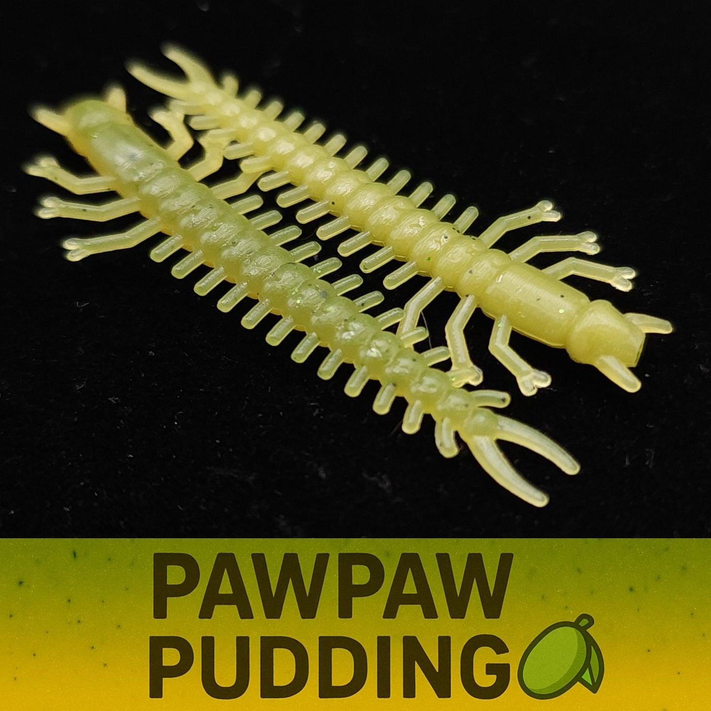 Jar of 1.8" Inch Micro Hellgrammite "The Ditch Devil"