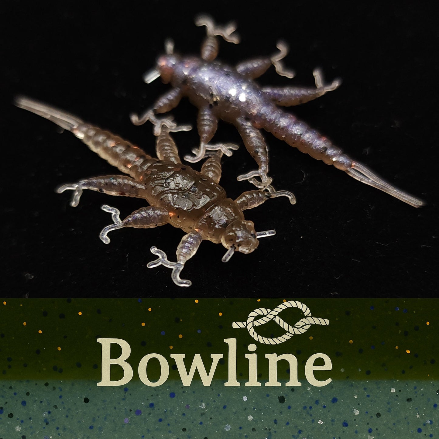 Jar of 1.5" Inch Stonefly Larvae "The Morelkin"