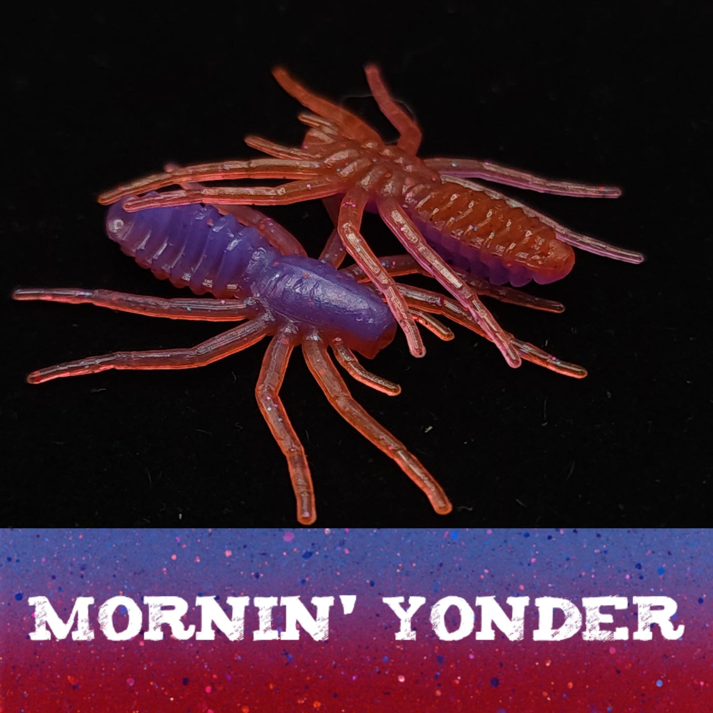 Jar of 1" Micro Spider Bait "The Writing Spider"