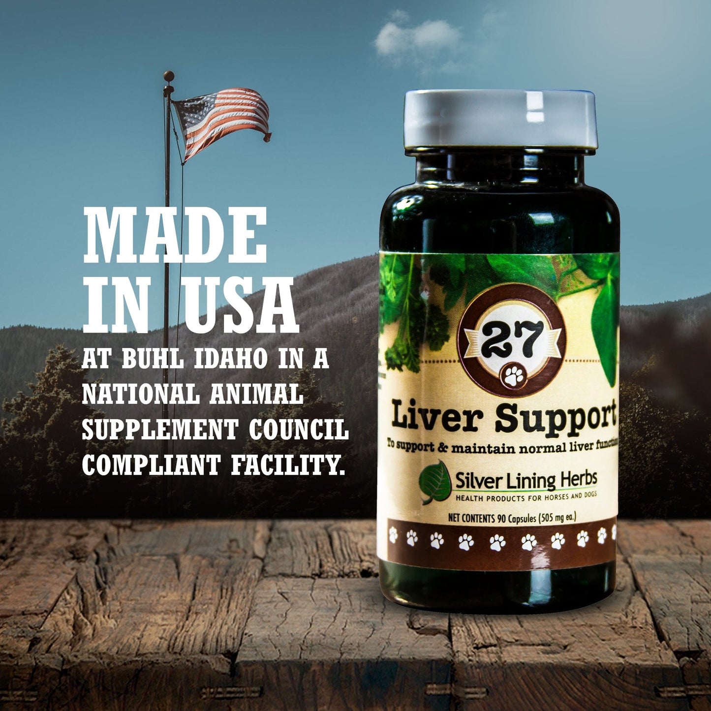 27 Liver Support for Canines