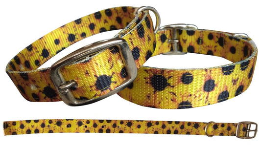 Showman Couture Sunflower designed nylon dog collar 27516