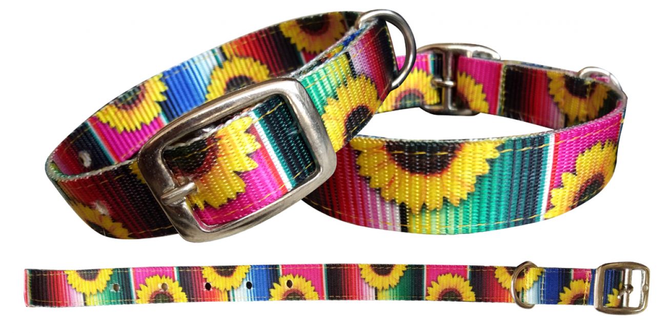 Showman Couture Serape & Sunflower designed nylon dog collar 27518