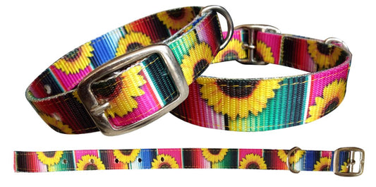 Showman Couture Serape & Sunflower designed nylon dog collar 27518