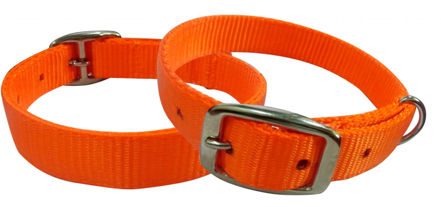 Showman Couture Orange nylon dog collar 27538