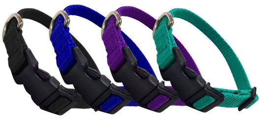Showman Couture Large Nylon dog collar 40343