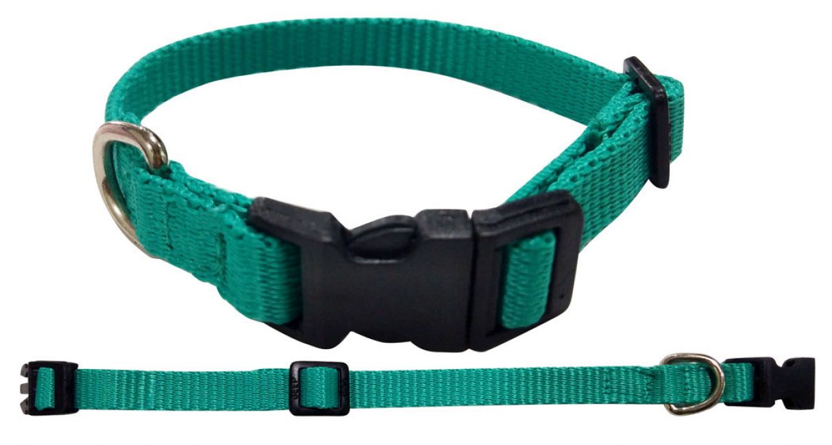 Showman Couture Large Nylon dog collar 40343