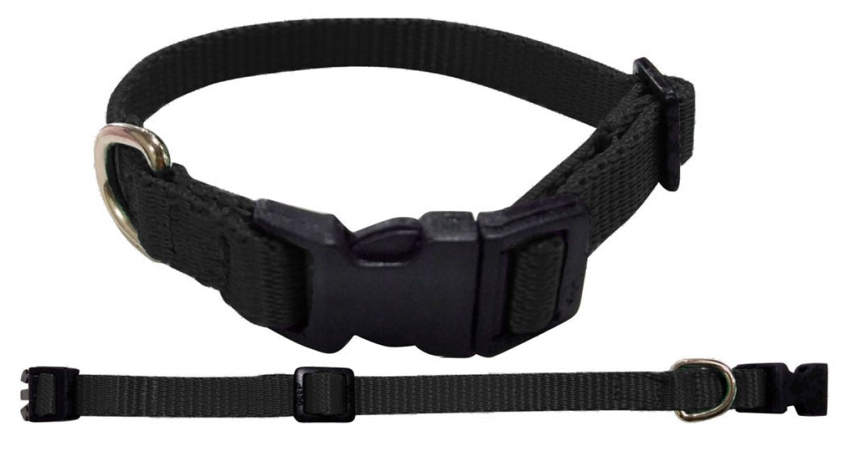 Showman Couture Large Nylon dog collar 40343