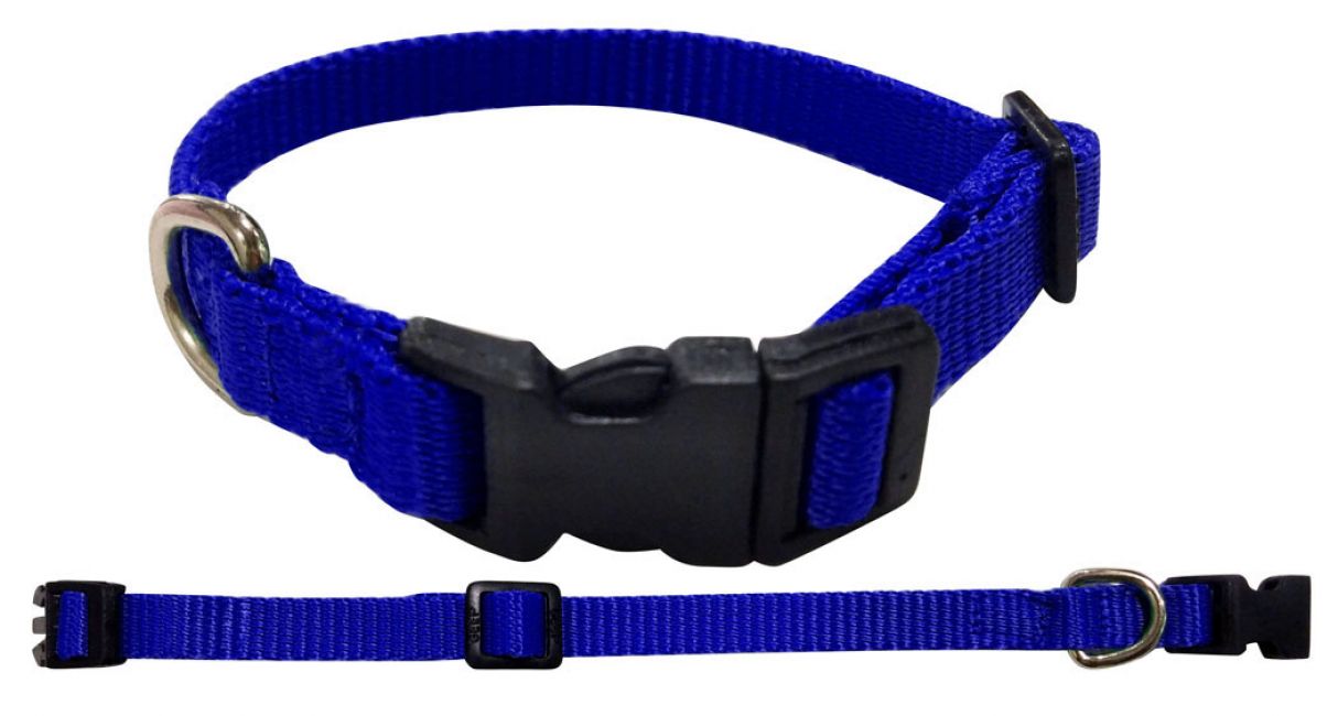 Showman Couture Large Nylon dog collar 40343