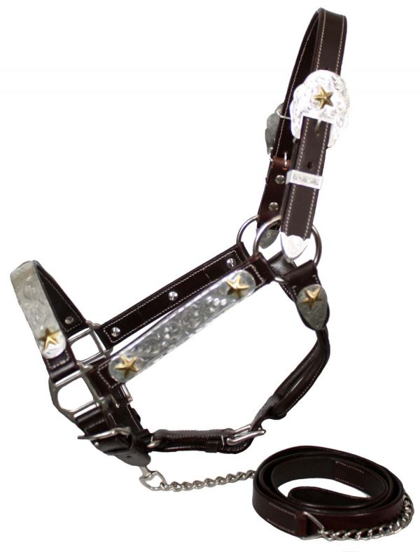 Showman horse size silver and gold star show halter with matching lead 5784