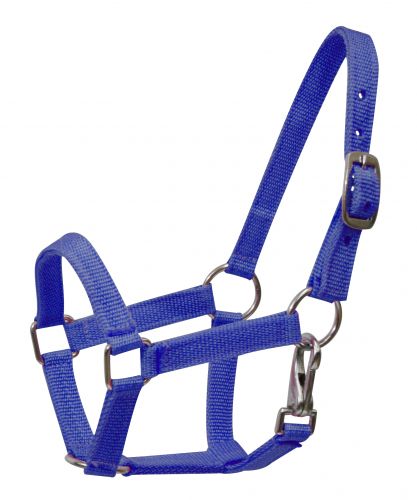 Nylon halter with nickel plated hardware and throat latch. Mini size 5946M