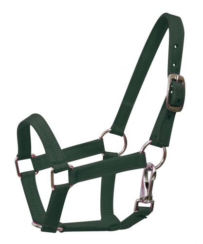 Nylon halter with nickel plated hardware and throat latch. Mini size 5946M