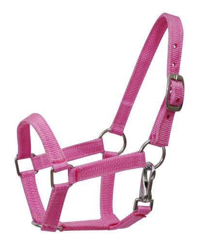 Nylon halter with nickel plated hardware and throat latch. Mini size 5946M