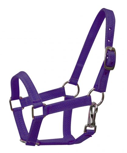 Nylon halter with nickel plated hardware and throat latch. Mini size 5946M