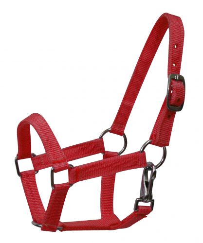 Nylon halter with nickel plated hardware and throat latch. Mini size 5946M