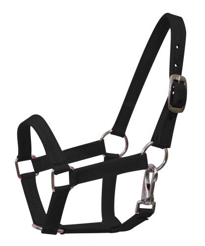 Nylon halter with nickel plated hardware and throat latch. Mini size 5946M