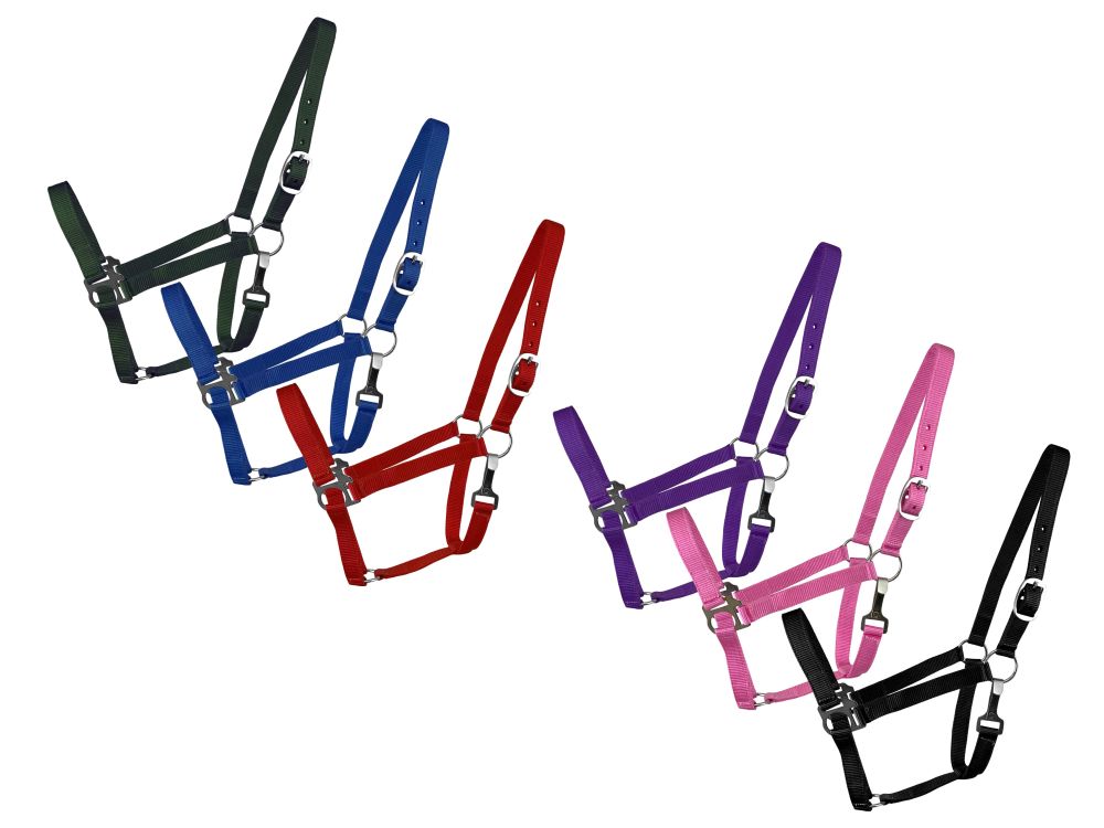 2 Ply Cob size halter 628XC