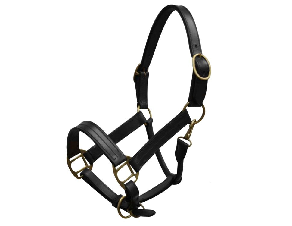 Yearling size leather halter with brass hardware BLACK 6620Y