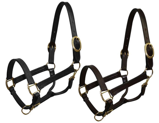 Cob size leather halter with brass hardware 6620C