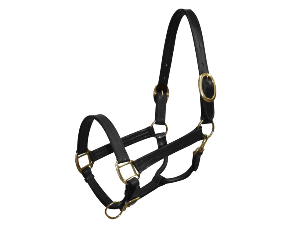 Cob size leather halter with brass hardware 6620C