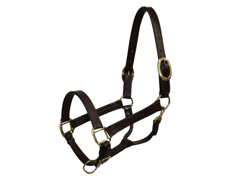 Cob size leather halter with brass hardware 6620C