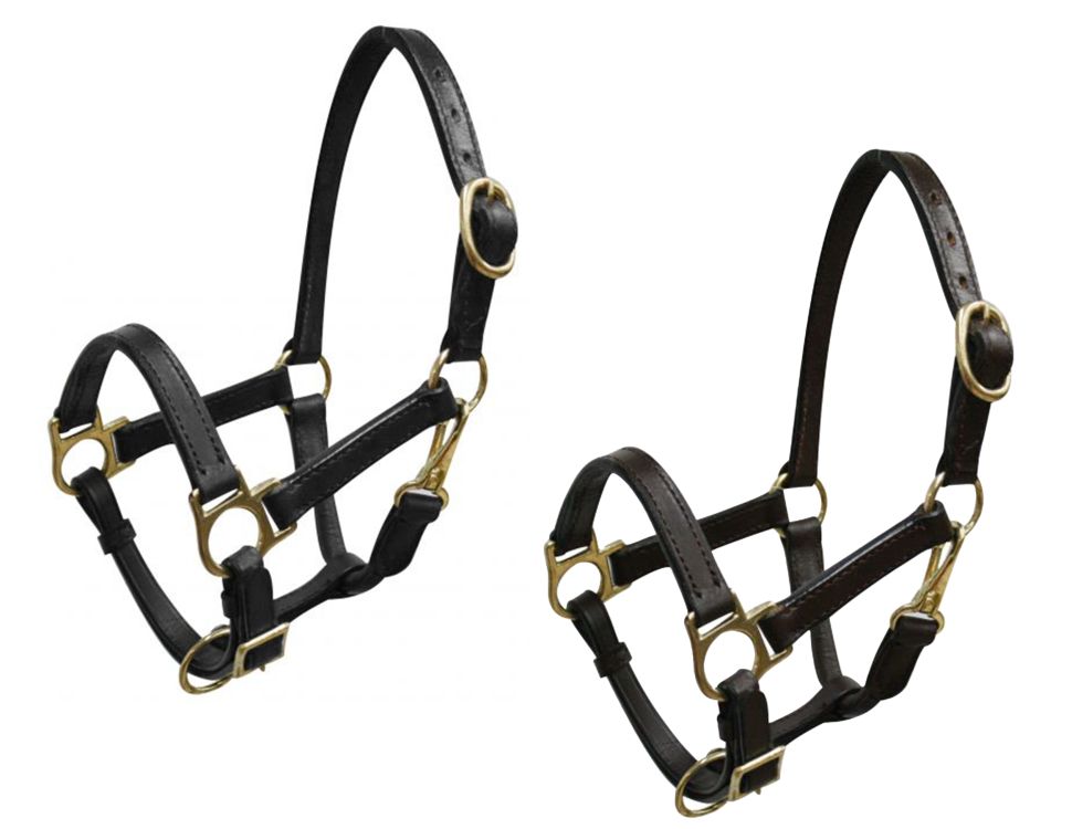Mini size leather halter with brass hardware 6620M