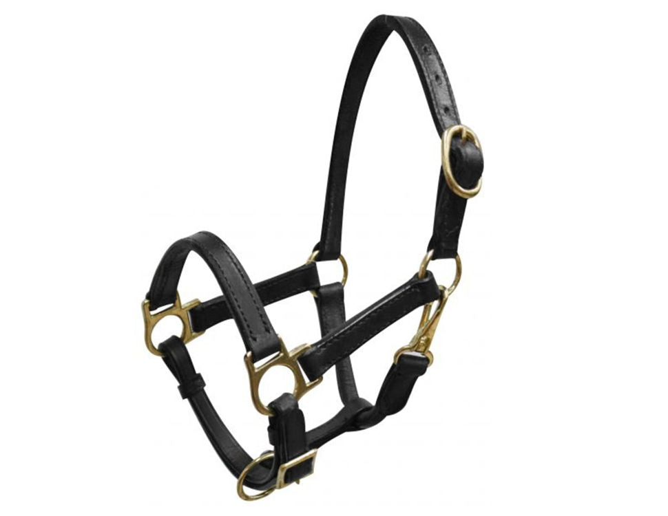Mini size leather halter with brass hardware 6620M