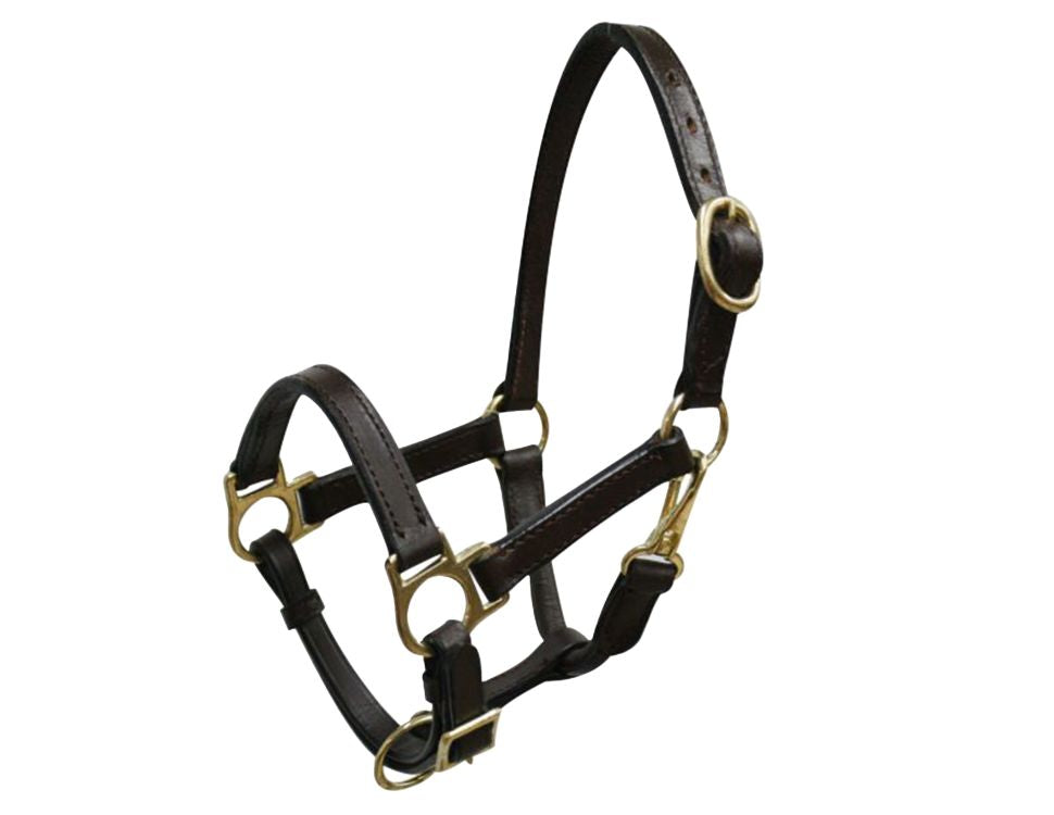 Mini size leather halter with brass hardware 6620M