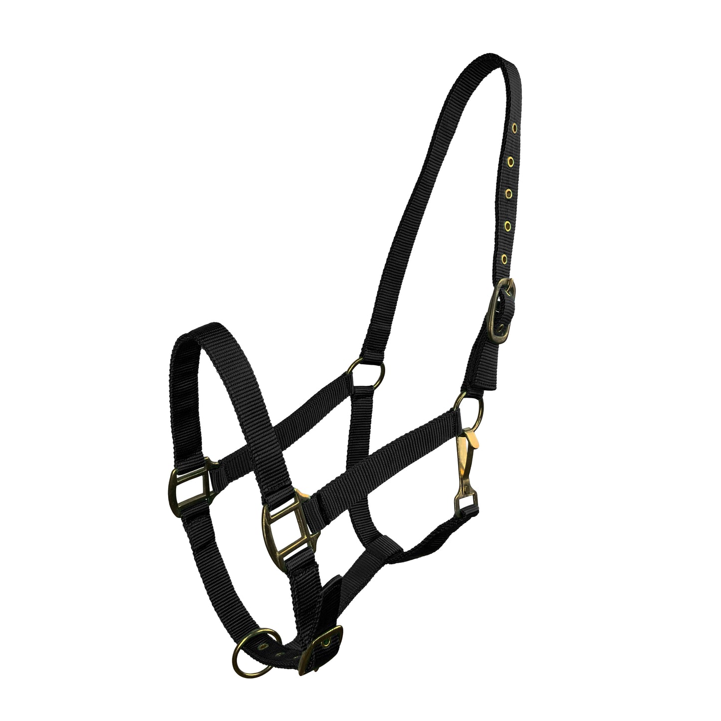 Horse Size Triple Ply Nylon Halter with Brass Hardware 6634H