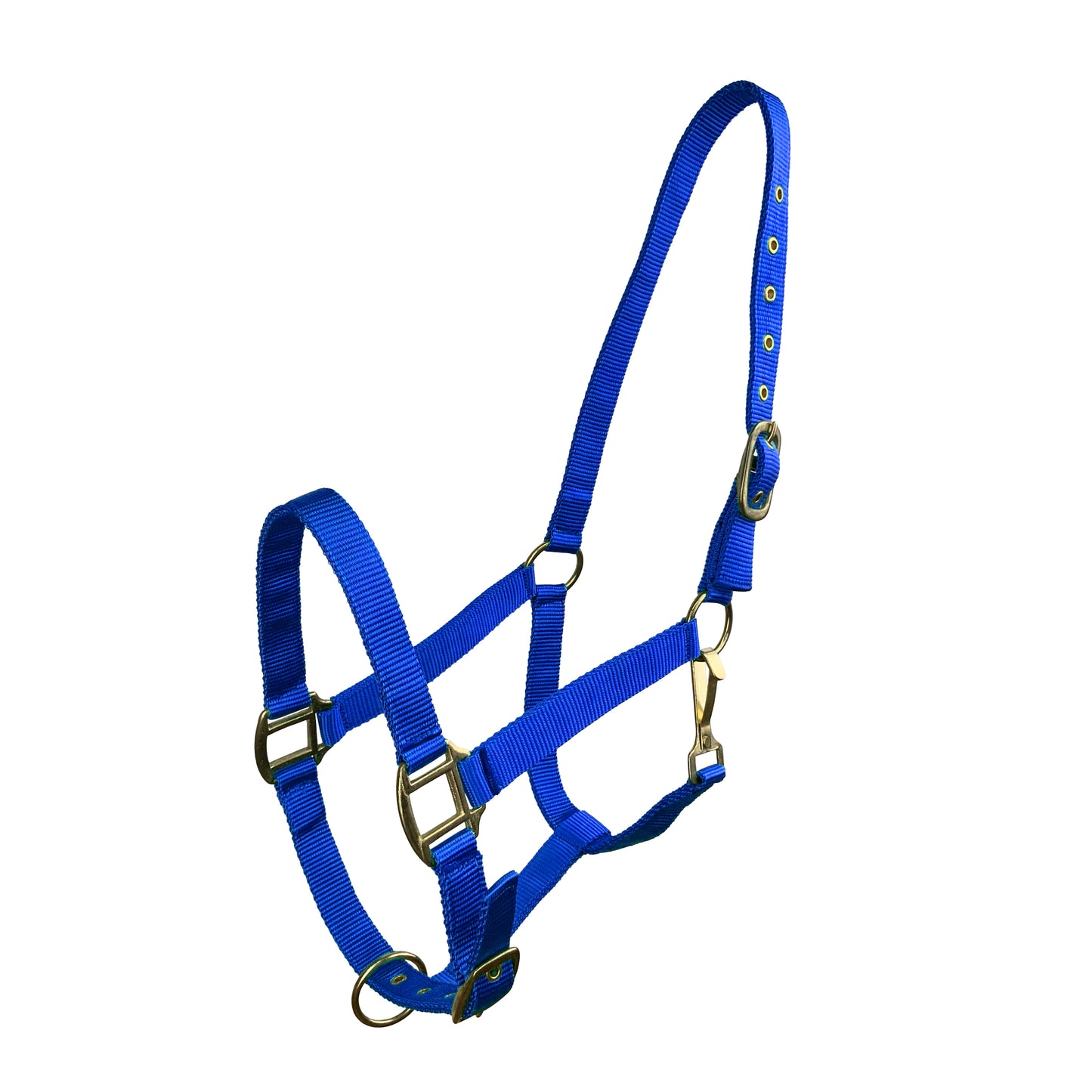 Horse Size Triple Ply Nylon Halter with Brass Hardware 6634H