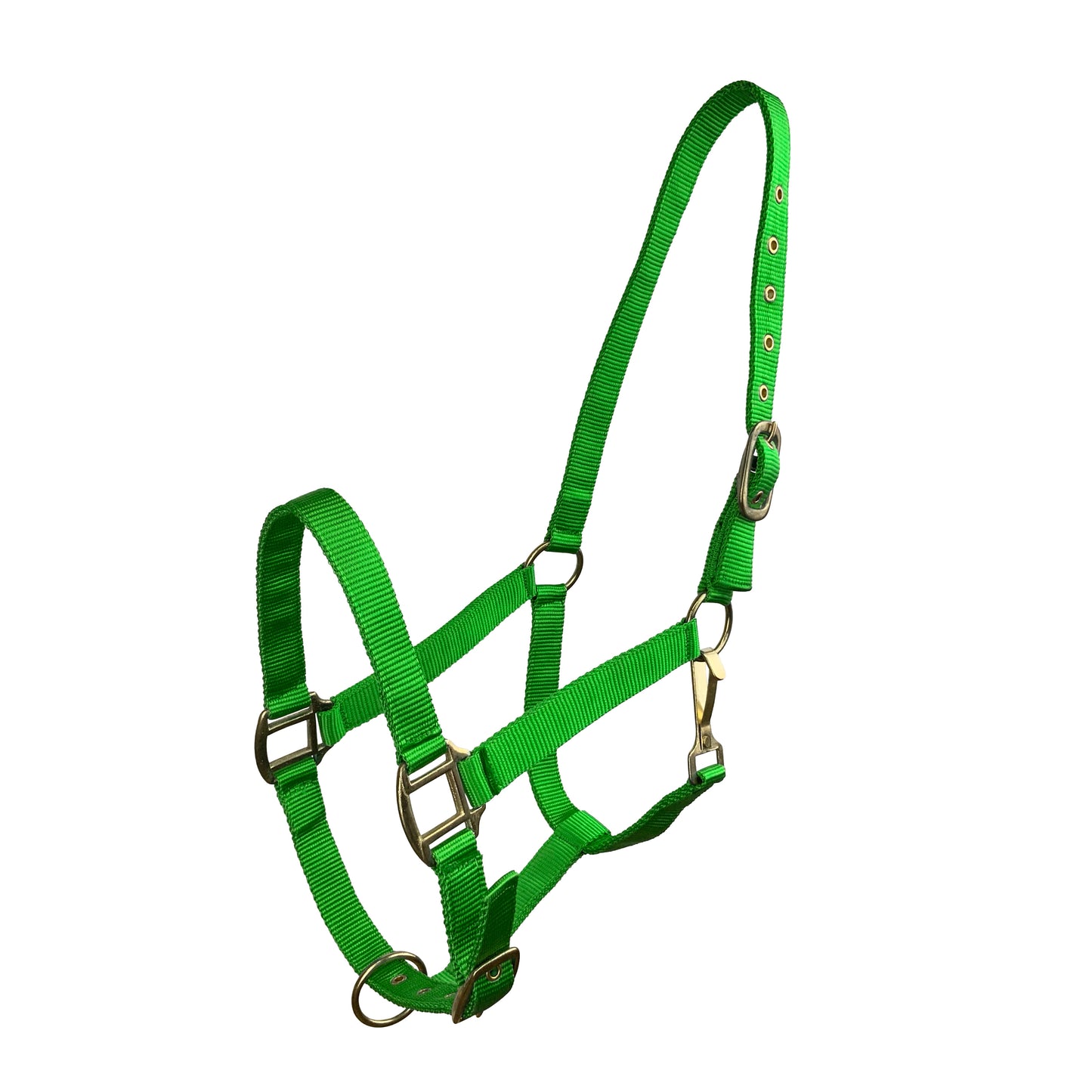 Horse Size Triple Ply Nylon Halter with Brass Hardware 6634H
