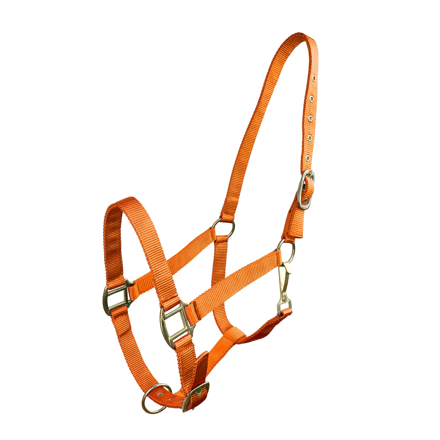 Horse Size Triple Ply Nylon Halter with Brass Hardware 6634H