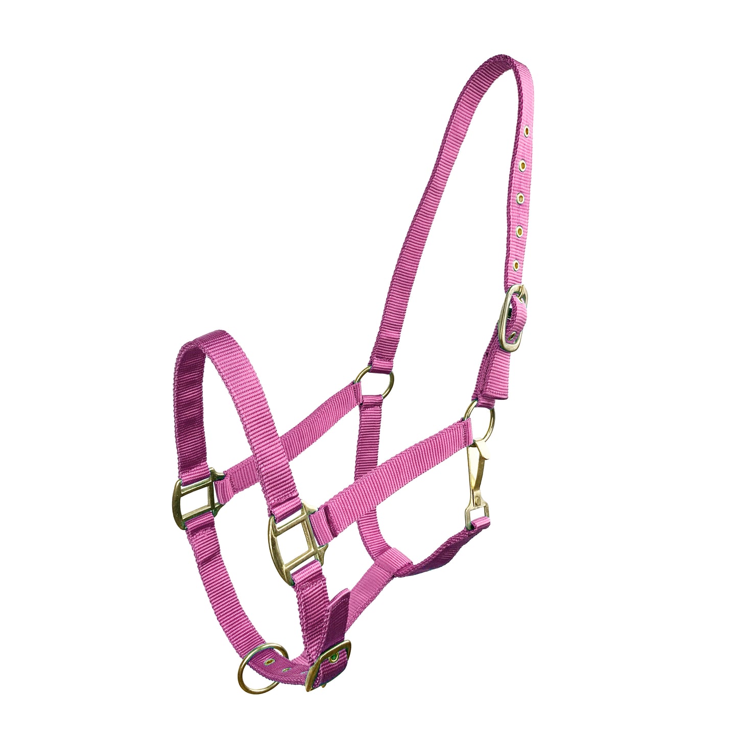 Horse Size Triple Ply Nylon Halter with Brass Hardware 6634H