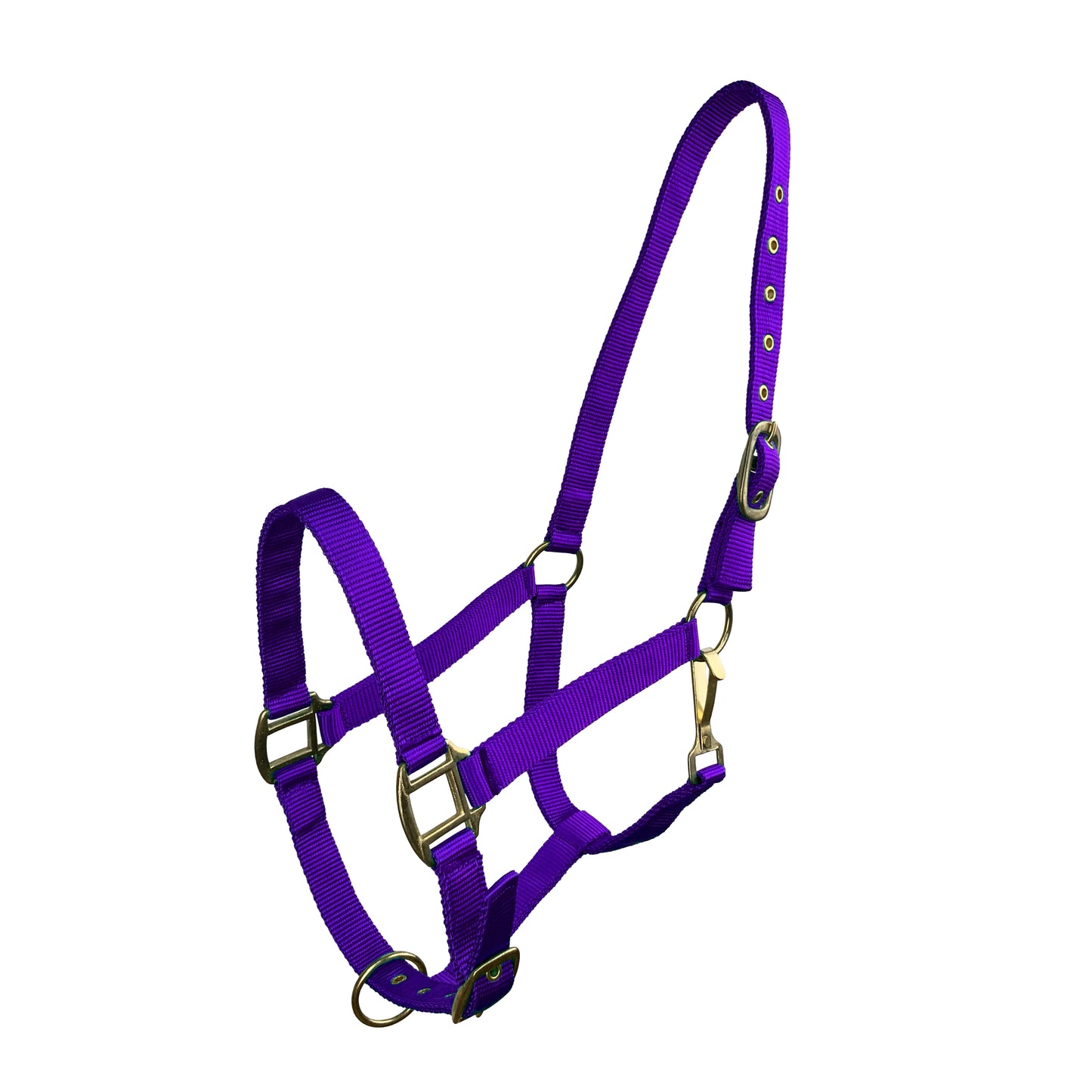 Horse Size Triple Ply Nylon Halter with Brass Hardware 6634H
