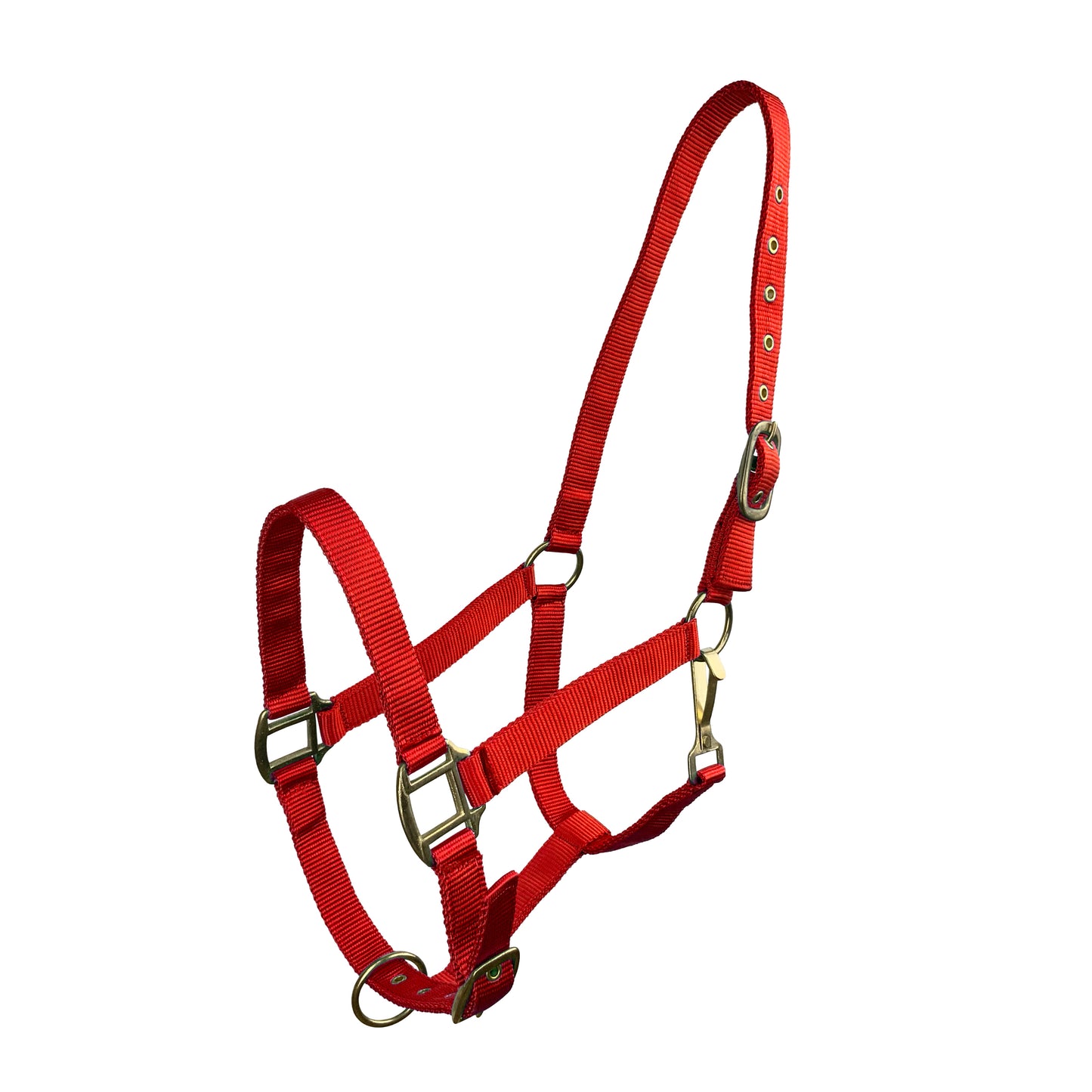 Horse Size Triple Ply Nylon Halter with Brass Hardware 6634H
