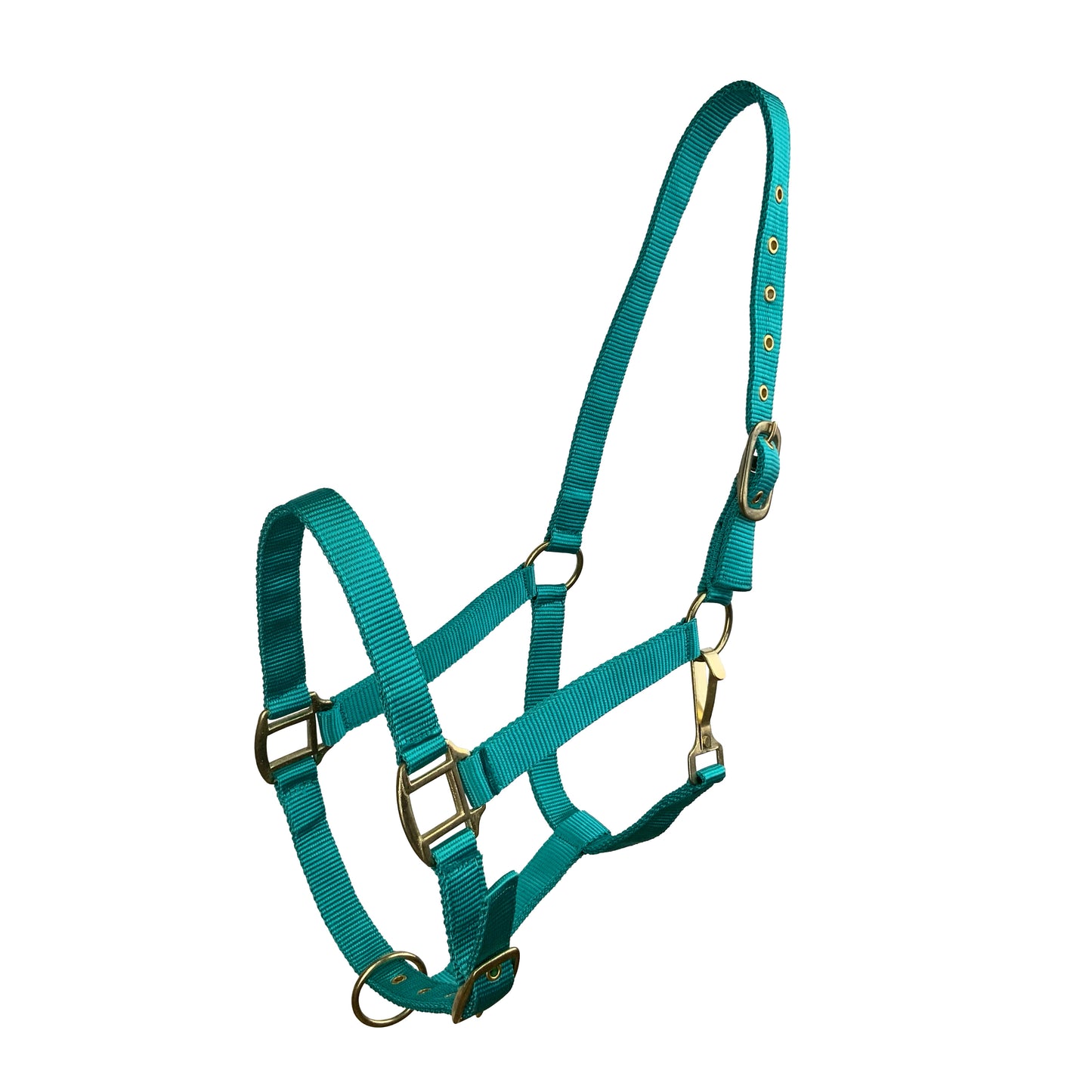 Horse Size Triple Ply Nylon Halter with Brass Hardware 6634H