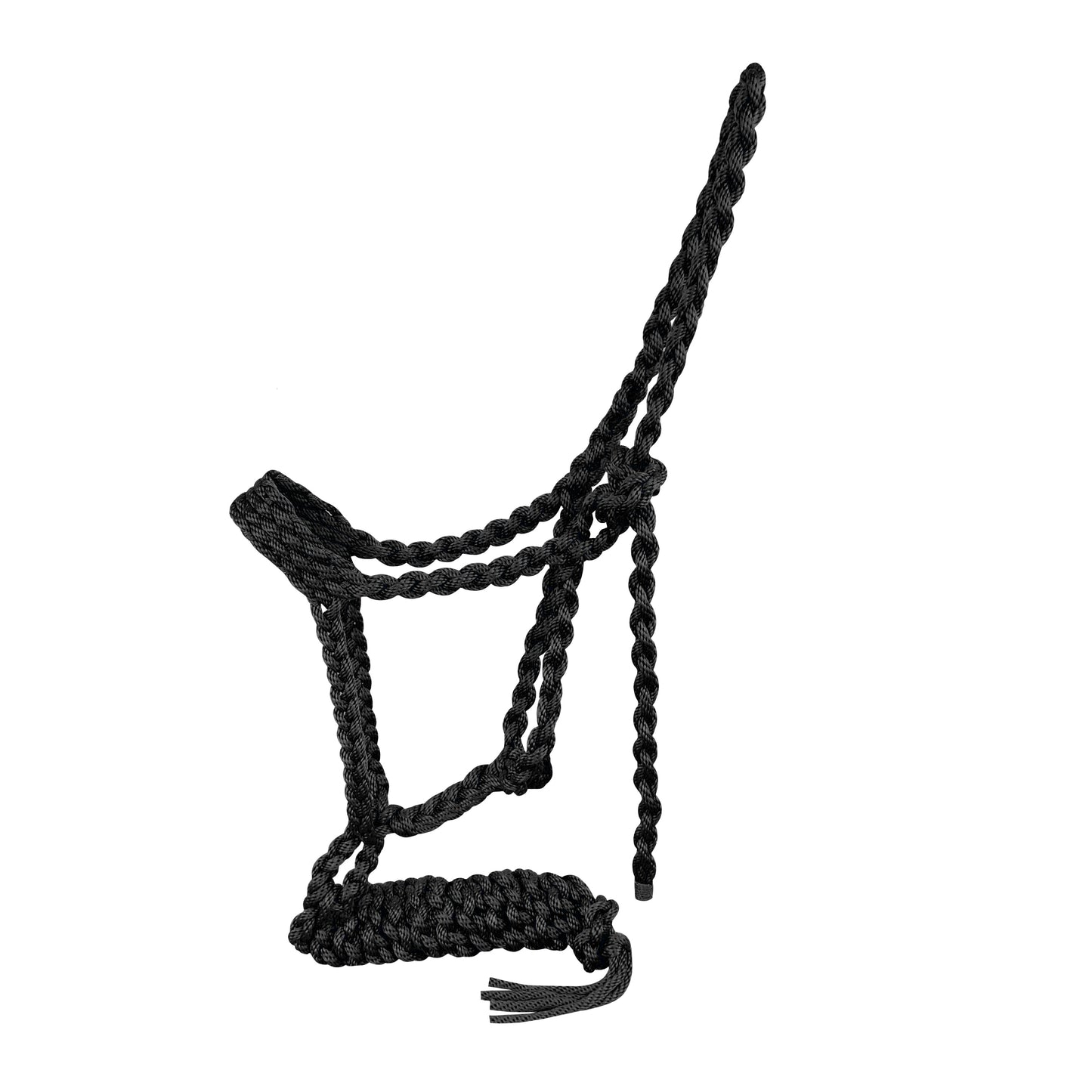 Showman Braided Nylon Muletape Halter 722739