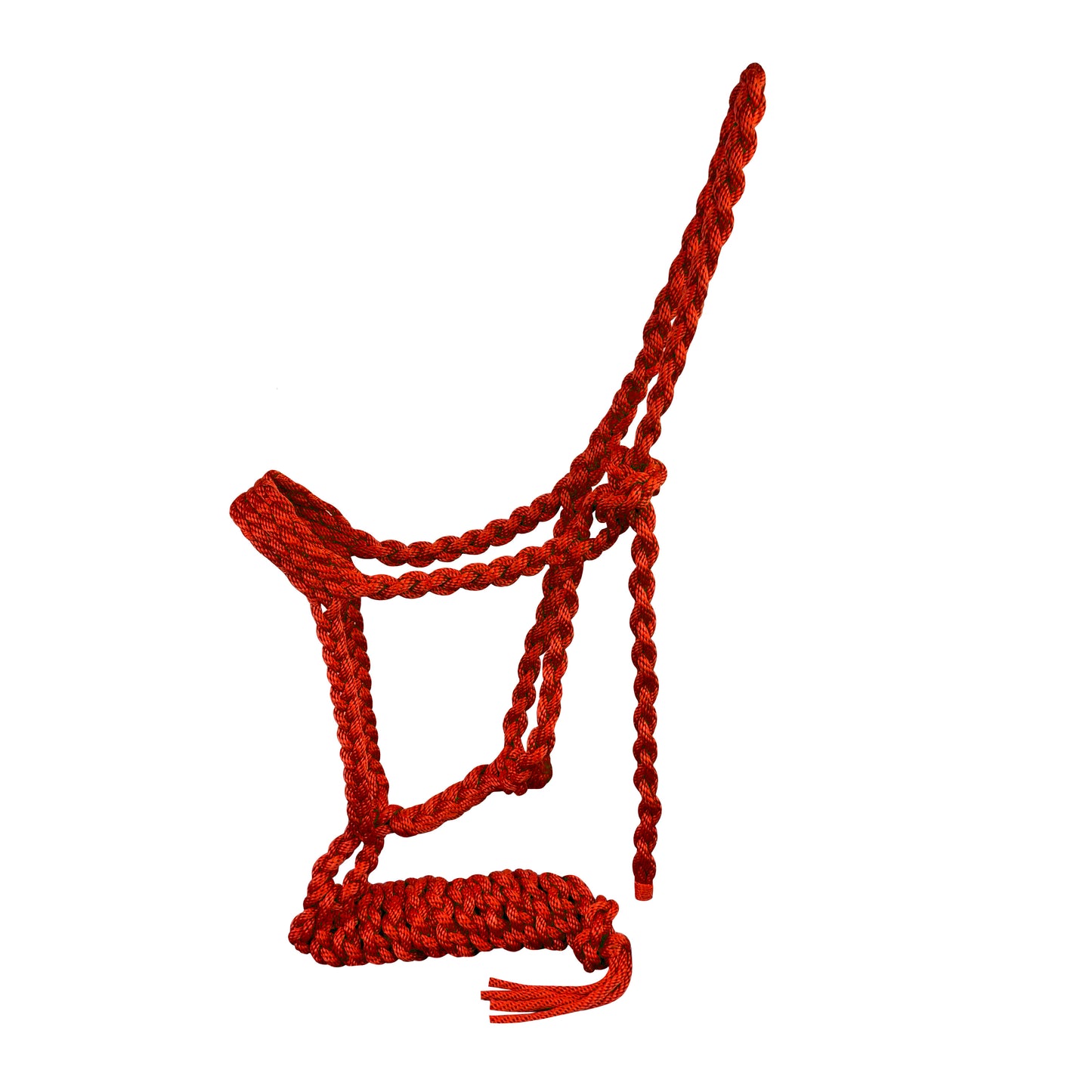 Showman Braided Nylon Muletape Halter 722739